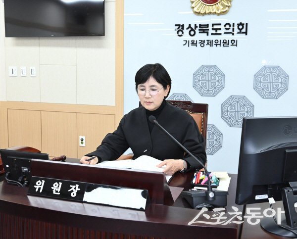 이선희 경북도의회 기획경제위원장이 도청 메타AI과학국 행정감사를 진행하고 있다. 사진제공 ㅣ 경북도의회
