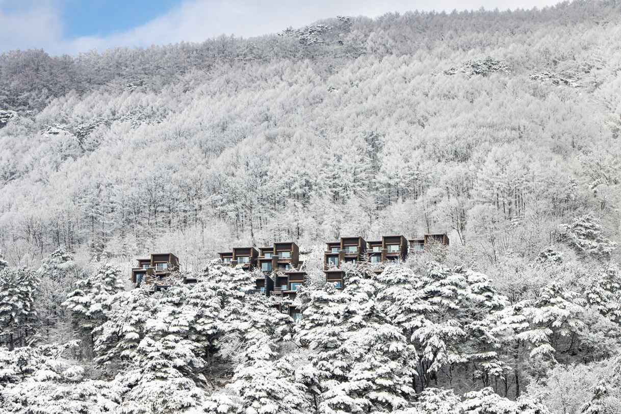 포레스트 리솜의 겨울
