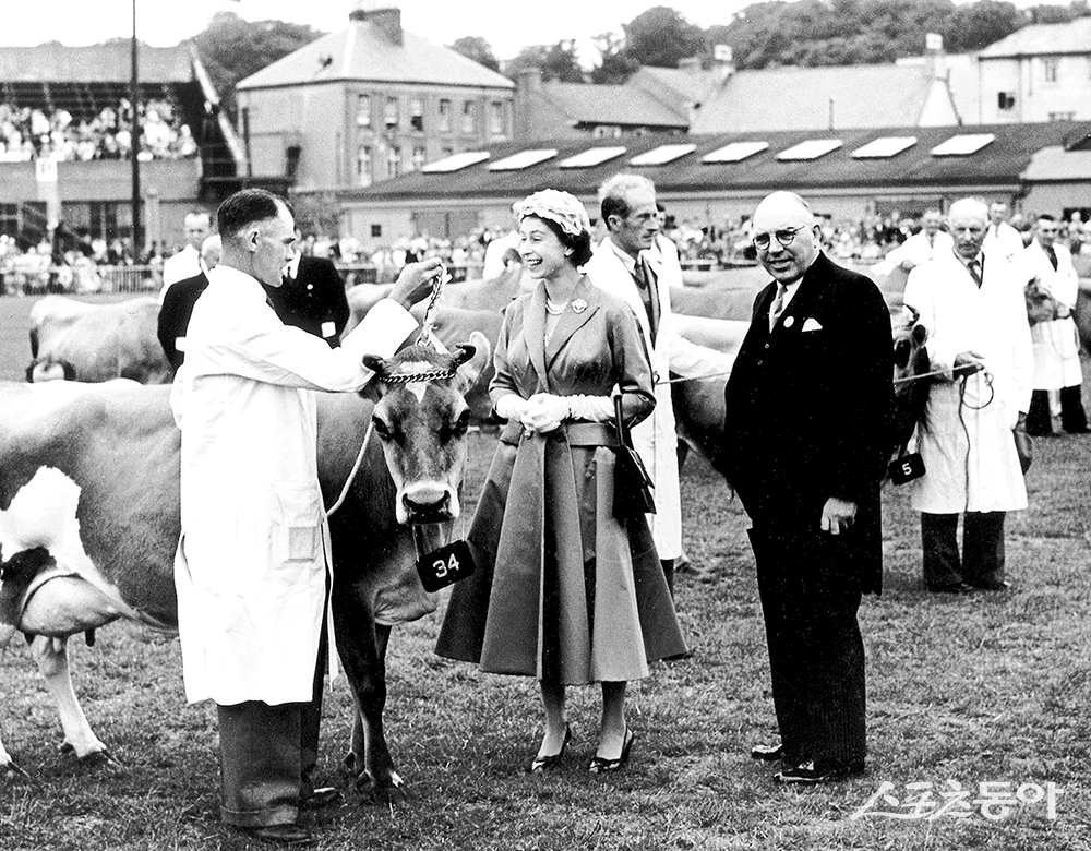 1952년 저지섬을 방문한 엘리자베스 2세 여왕(가운데)은 저지섬 협회에 ‘로열(Royal)’ 칭호를 수여했다. 사진제공 ㅣ지에스씨인터내셔날