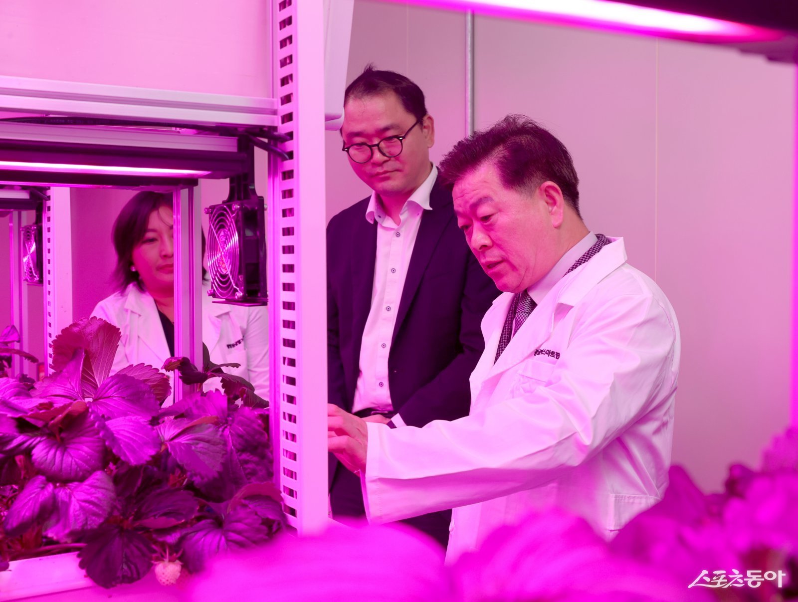 박승원 광명시장이 지난 22일 광명동굴 근처 옛 업사이클아트센터(가학로85번길 142)에서 열린 ‘광명동굴 딸기 스마트팜’ 개소식에 참석해 스마트팜 재배시설을 둘러보고 있다. 사진제공|광명시