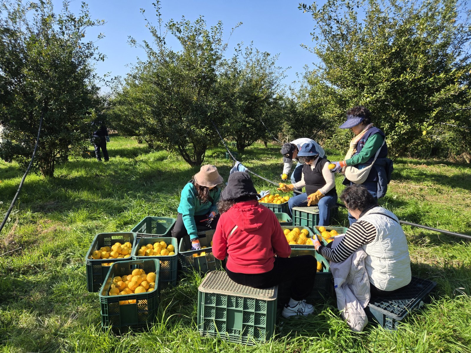 고흥 볼런투어 현장 사진