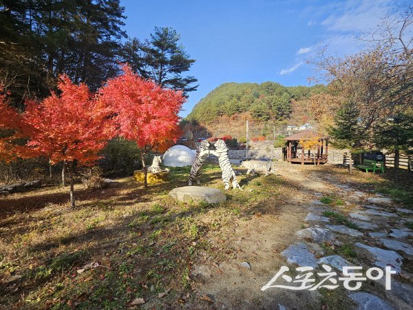 ‘승부리 투구봉’은 백두대간의 장대한 능선을 조망할 수 있는 명품 등산 코스다. 사진제공 ㅣ 봉화군