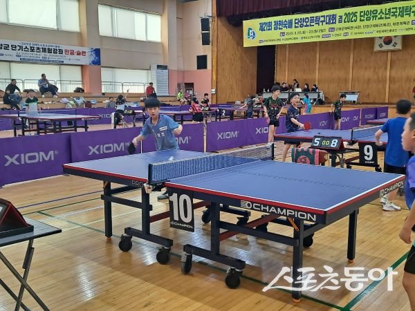 2025 단양오픈 국제 유소년탁구대회에서 포항장량초 전하준 선수가 시합중인 모습. 사진제공ㅣ유소년국제탁구대회