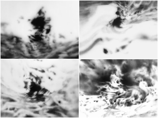 사진제공｜갤러리 크레인