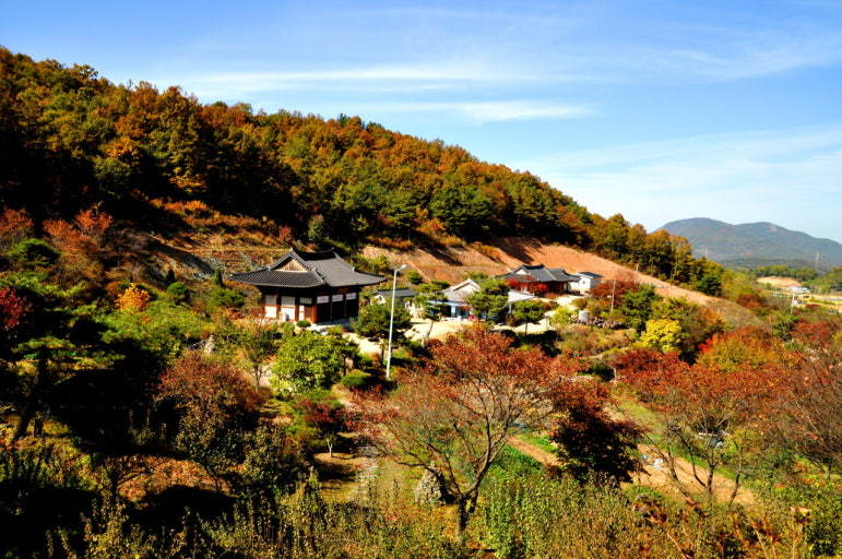 쌍지암의 가을. 쌍지암은 황새와 자연 속에서 찾는 행복과 치유의 공간이다. 주지인 선묘 스님이 직접 가꾼 정원수와 야생화에 힘입어 ‘아름다운 절’로 널리 알려져 있다. 사진출처 ㅣ네이버 블로그