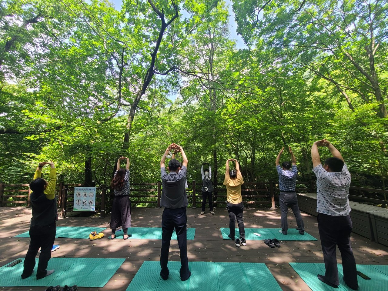 제천 국립제천치유의숲