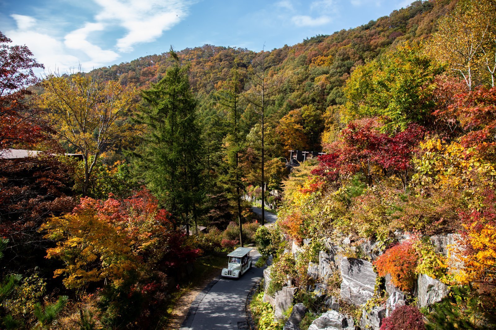 제천 리솜포레스트