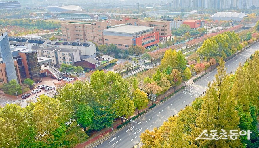 인천 계양구, 2025년 특색가로수길 우수기관으로 선정됐다. 사진제공｜인천 계양구청