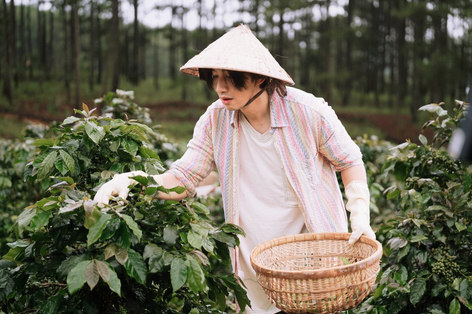 사진제공 | CJ CGV