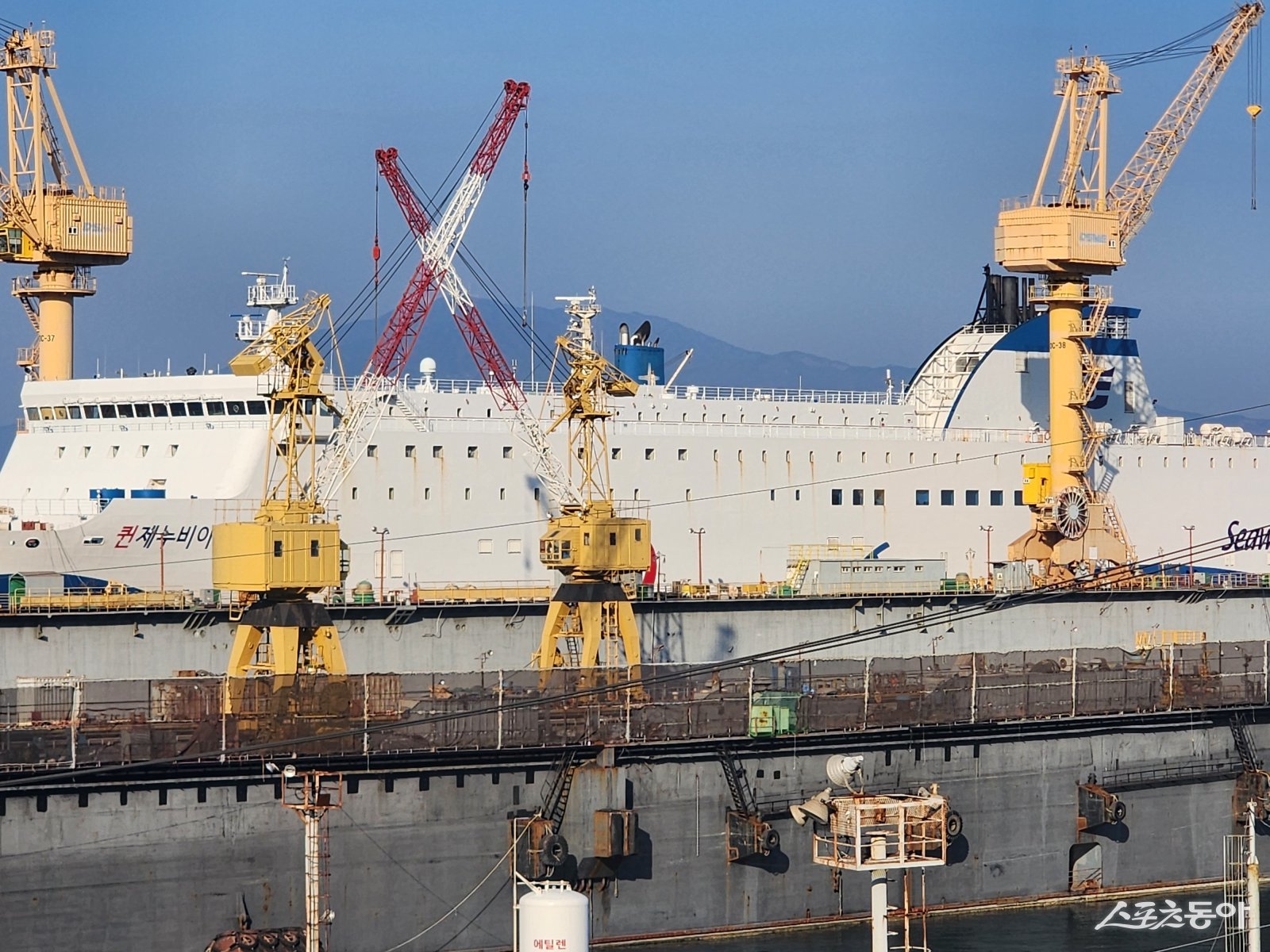 퀸제누비아2호가 해경수사와 선박수리를 위해 여수해양조선소에 25일 입항했다. 독자제공
