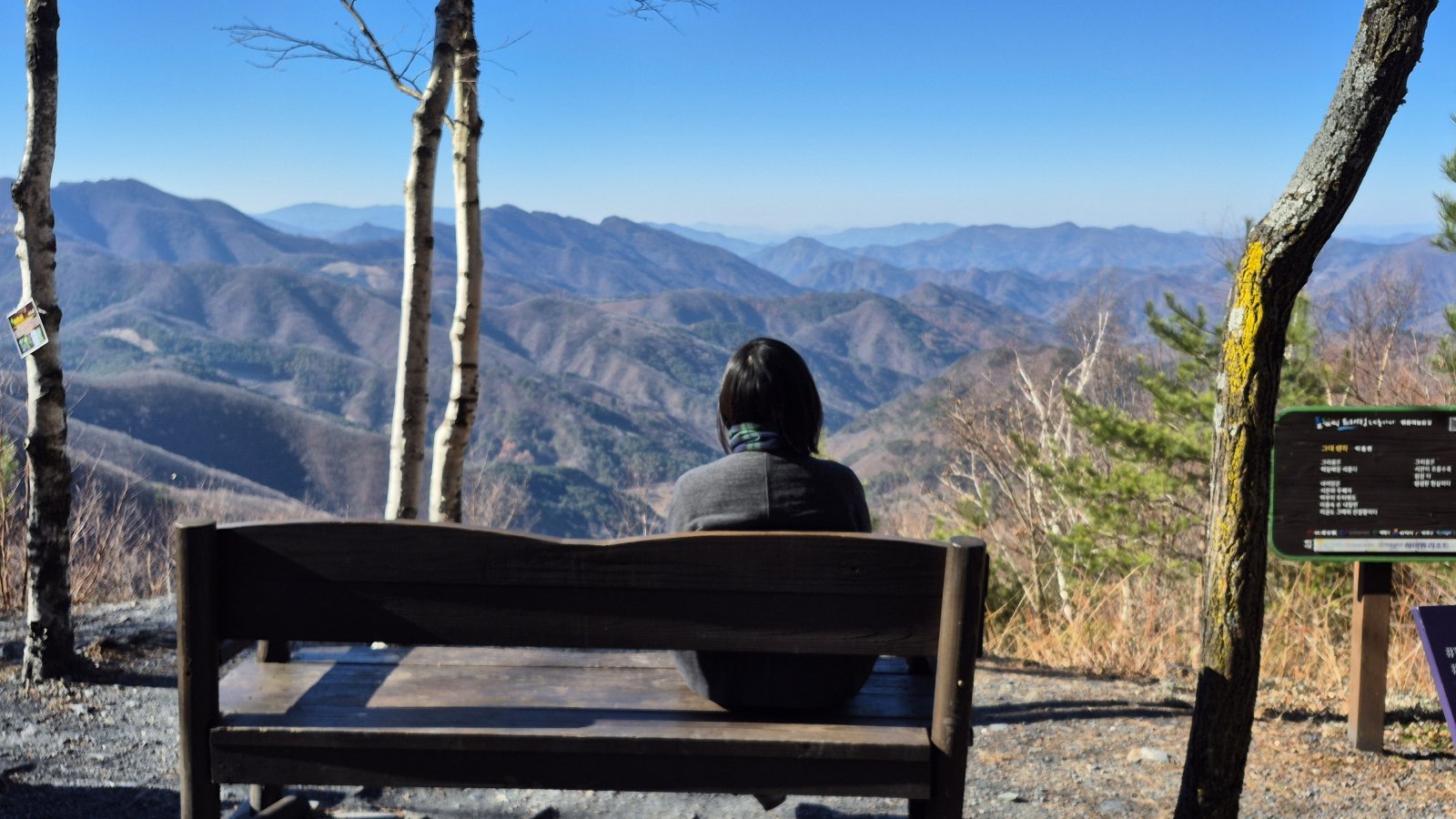 하이원 운탄고도 1177갱에서 내려다 본 백운산은 아직 가을의 뒷모습을 보여주고 있었다. 과거 석탄을 운반했던 운탄고도와 백운산 등산로를 잇는 하늘길은 손꼽히는 트레킹 명소다.          정선 ｜ 양형모 기자