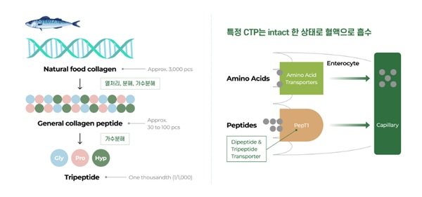 사진제공|뉴트리