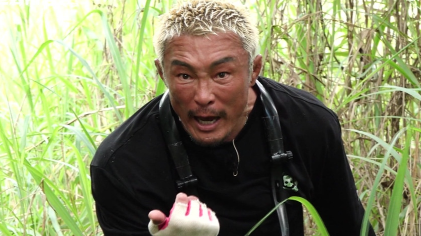 사진제공｜채널A