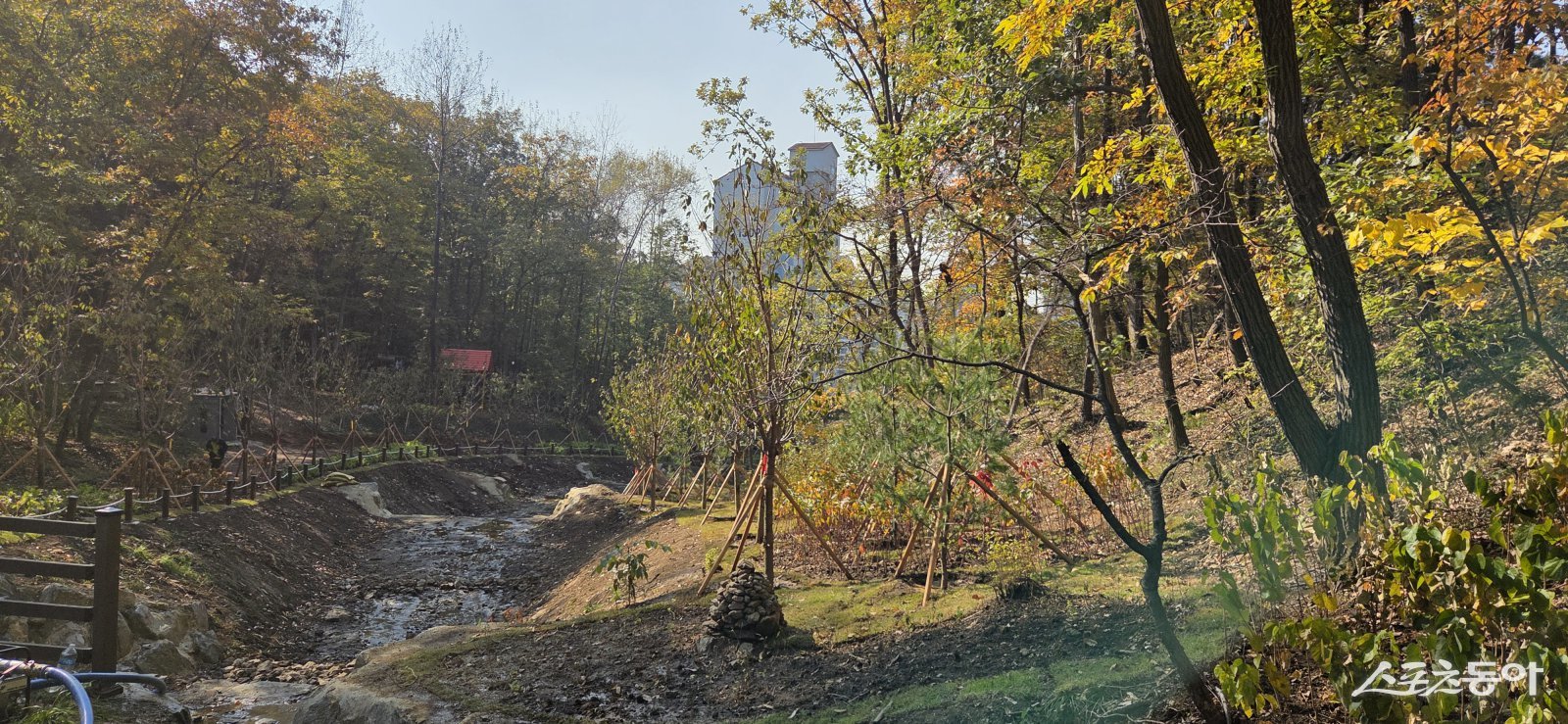 용인특례시(시장 이상일)는 수지구 죽전동 산23번지 대지산 자락에 시민들이 쾌적한 환경에서 휴식할 수 있는 ‘도시 숲’ 조성을 완료했다. 사진제공｜용인시