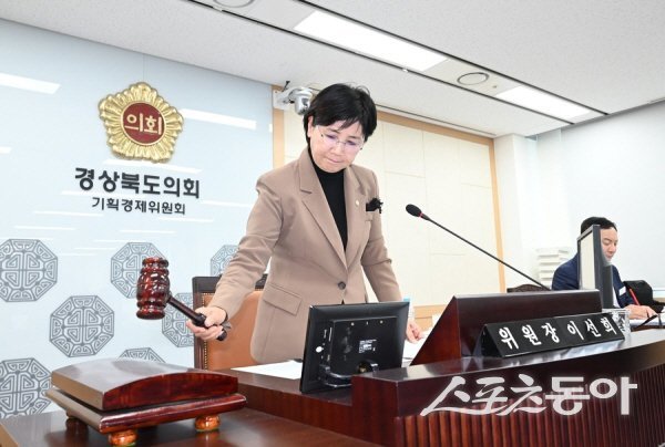 이선희 경상북도의회 기획경제위원장이 소관부서 내년도 예산안 심사를 주재하고 있다. 사진제공 ㅣ 경북도의회