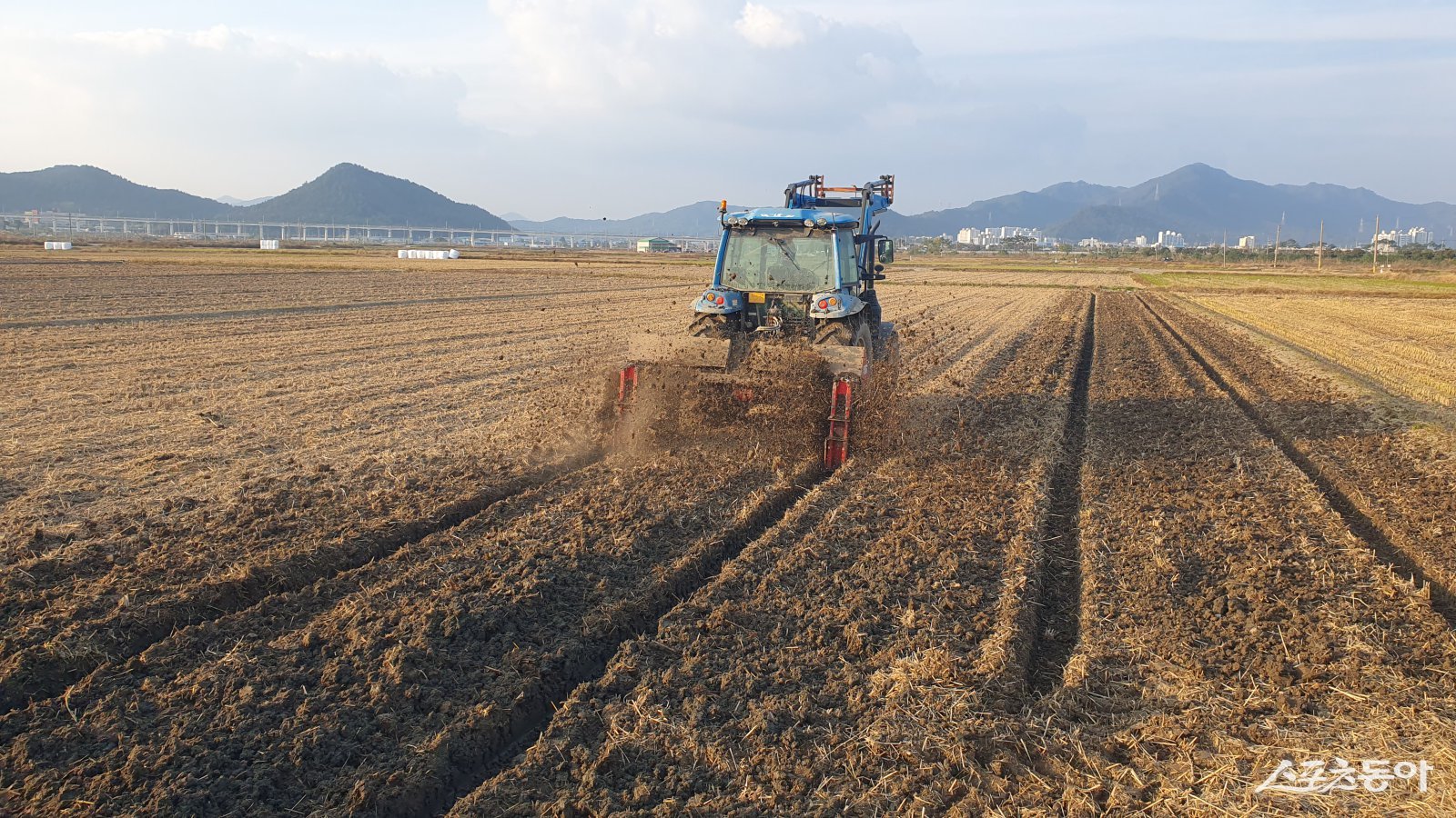 한 농가가 맥류 파종을 하고 배수로를 만들고 있는 모습. 사진제공=강진군