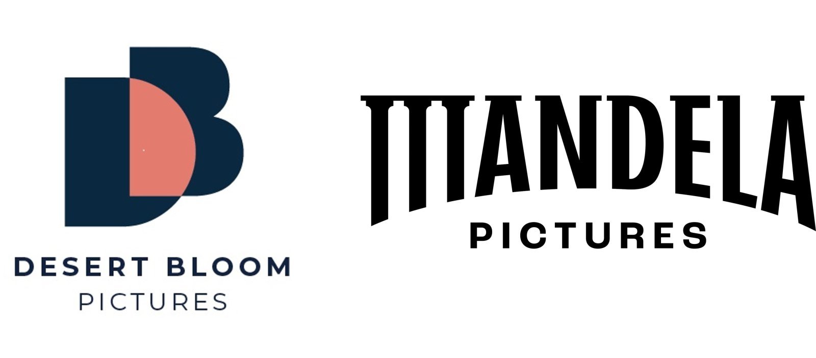 사진제공｜글로벌 제작사 ‘데저트블룸 픽처스’