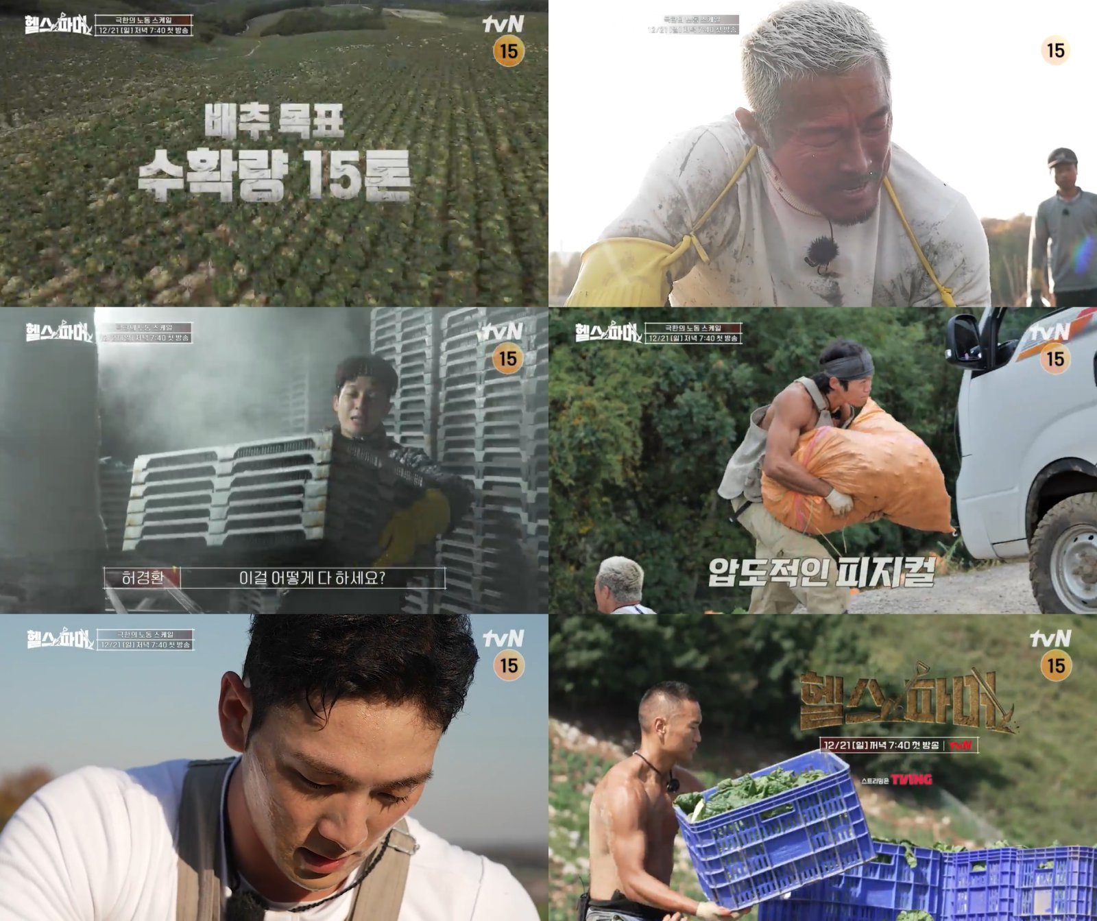 ‘헬스파머’ 5인, 배추 목표 수확량 15톤..역대급 농사 스케일
