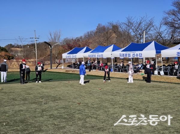 김천시가 1일 ‘2025 하반기 게이트볼대회’를 진행하고 있는 모습. 사진제공ㅣ김천시