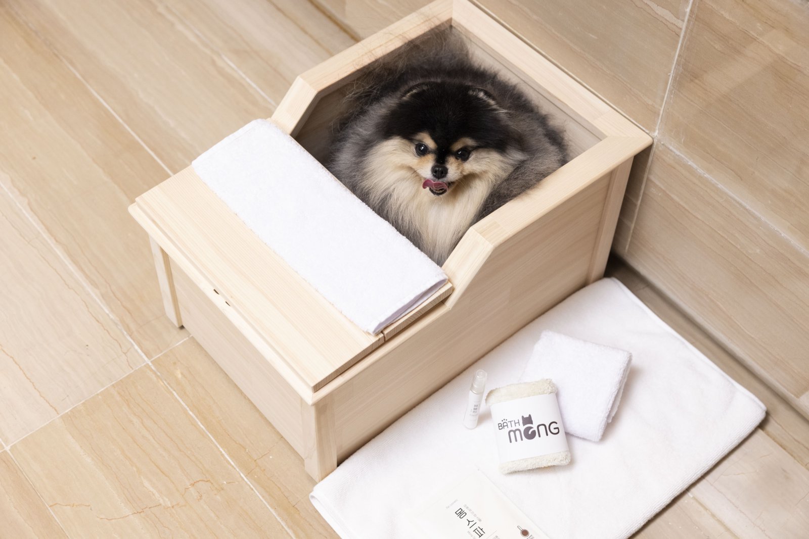 쉐라톤 그랜드 인천 호텔, 반려견과의 웰니스 & 스파 호캉스 ‘쉐라톤 펫캉스’