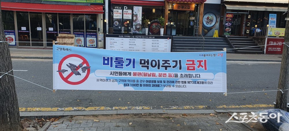 ‘비둘기 먹이주기 금지’ 안내 현수막. 사진제공ㅣ고양시