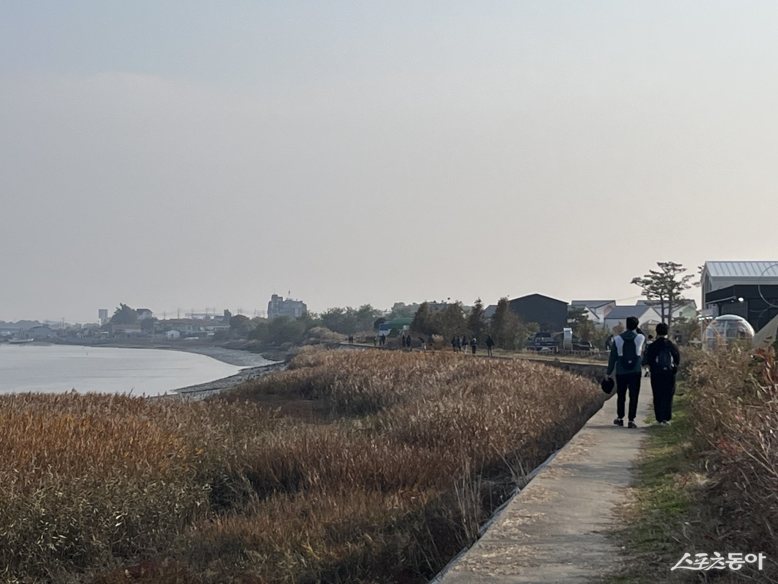 인천광역시교육청(교육감 도성훈)은 3일부터 5일까지 강화도 일대에서 초등 5학년부터 중·고등학생을 대상으로 ‘인천 철학자의 길 I-Plato 학교’ 프로그램을 운영한다(전경). 사진제공｜인천시교육청