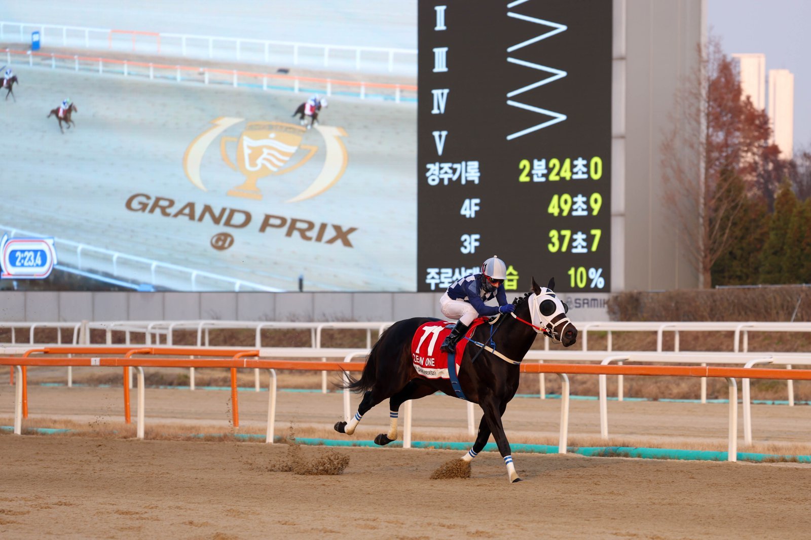 다실바 기수와 호흡을 맞춘 3세마 클린원이 11월 30일 열린 제43회 그랑프리에서 압도적인 기량을 과시하며 결승선을 가장 먼저 통과하고 있다. 사진제공  |   한국마사회