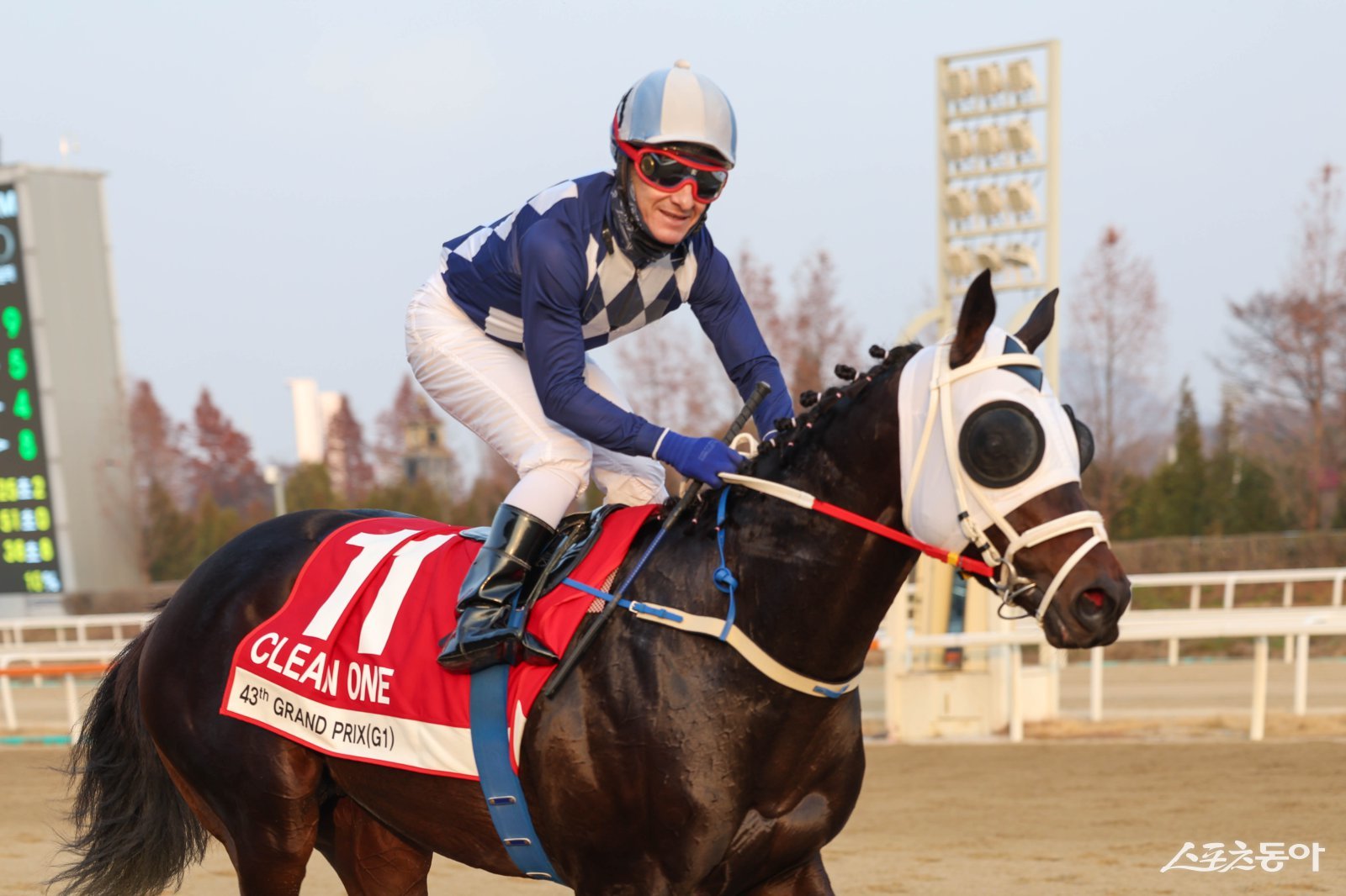 다실바 기수와 호흡을 맞춰 11월 30일 열린 제43회 그랑프리에서 압도적인 기량을 과시하며 우승을 차지한 클린원.  사진제공  |  한국마사회