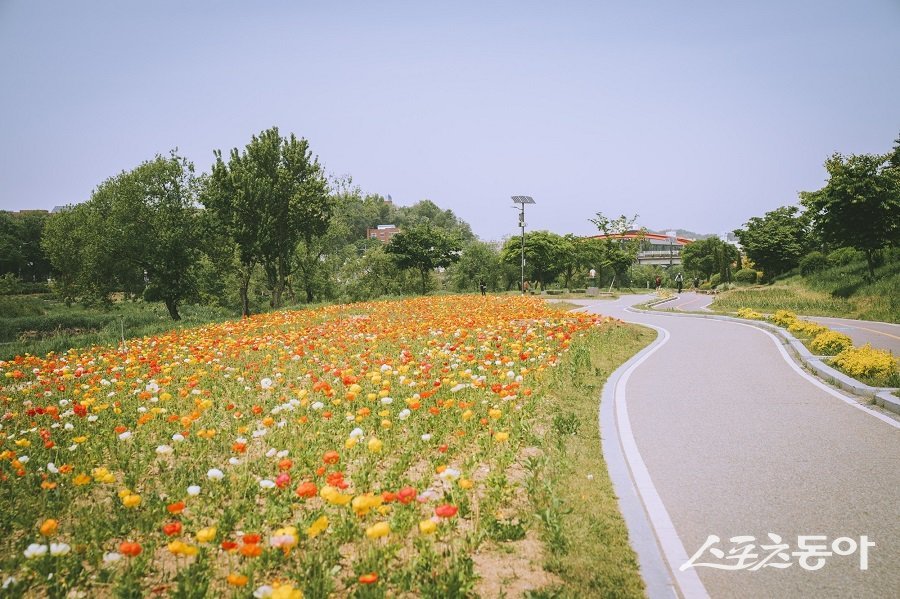 오산시(시장 이권재)가 시민들이 자주 찾는 오산천을 사계절 산책과 휴식이 가능한 생활 친화형 공간으로 바꾸기 위해 생활형 정비와 환경 개선 작업을 확대하고 있다. 사진제공｜오산시