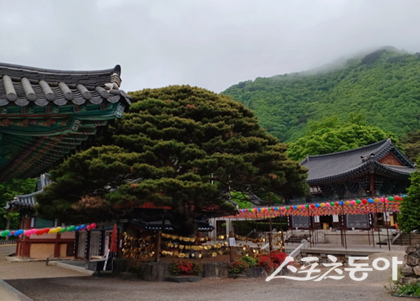 보경사 전경. 사진제공ㅣ포항시