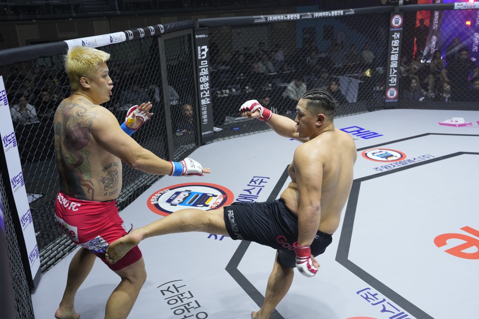 세키노 타이세이(오른쪽)가 7일 장충체육관에서 열린 ‘굽네 로드FC 075’에서 배동현을 상대로 킥 공격을 시도하고 있다. 사진제공｜로드FC