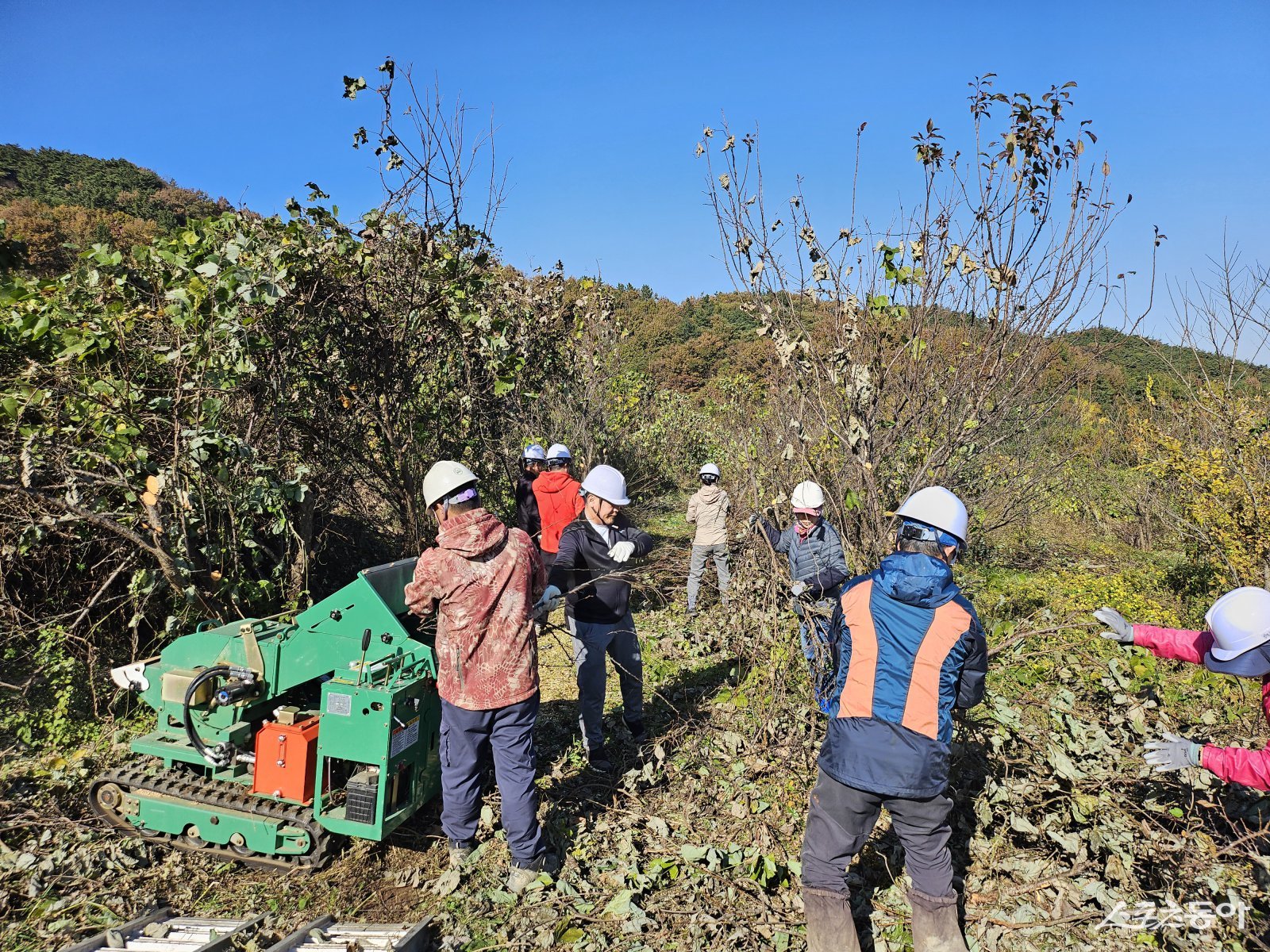 함평군이 지역 농업인들과 협력해 영농부산물 처리 작업을 진행하고 있다. 사진제공=함평군