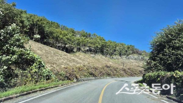 의성군 산불피해 위험목 제거 현장 모습. 사진제공ㅣ의성군