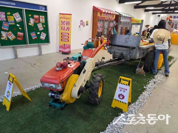 봉화군이 서울 성수동 일대에서 운영한  ‘봉화사과 팝업스토어’ 메인 행사장 전경. 사진제공 ㅣ 봉화군