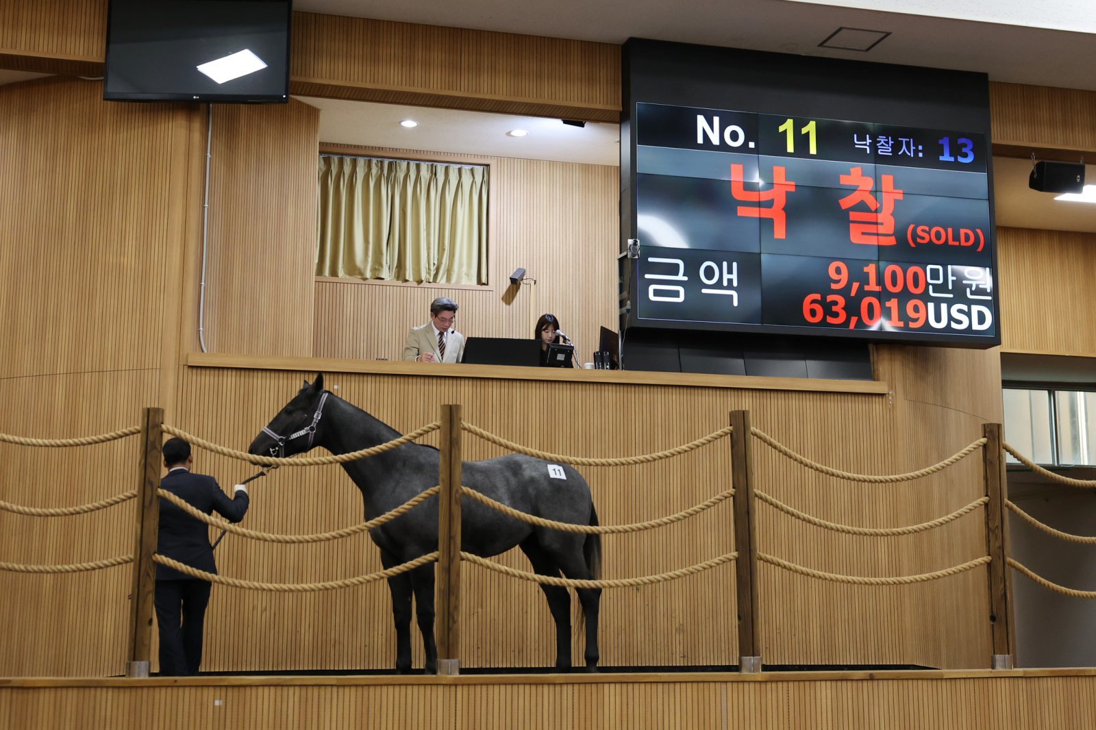 9일 열린 2025년 경주마 경매 모습.