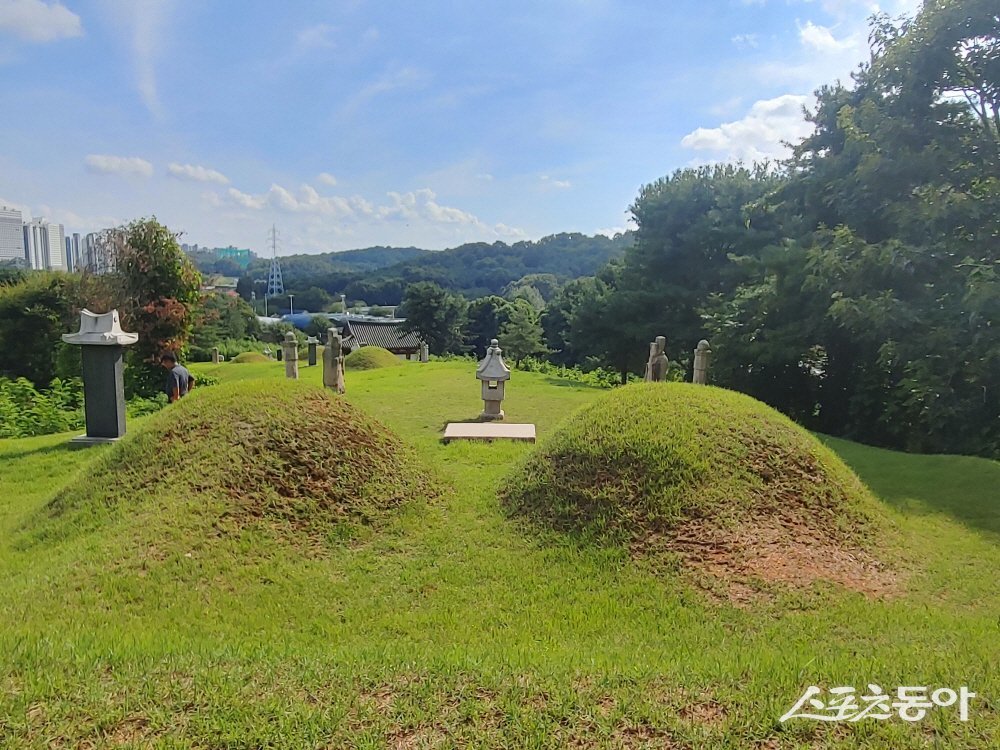 청송심씨 문중묘역. 사진제공ㅣ고양시