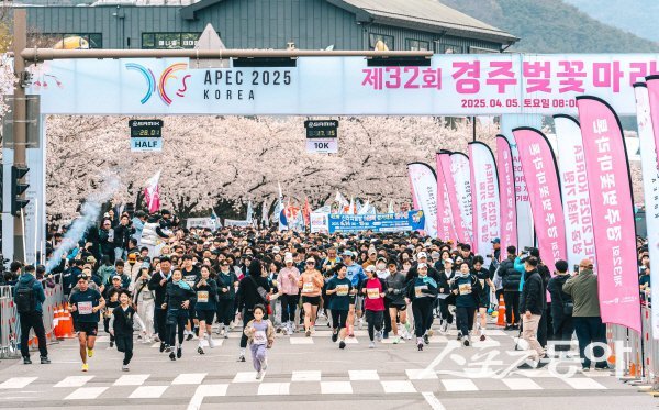 올해 경주벚꽃마라톤대회 참가자들이 벚꽃이 만개한 가운데 출발하고 있다. 사진제공 ㅣ 경주시