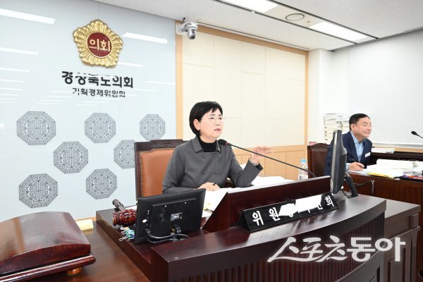 이선희 경상북도의회 기획경제위원장이 회의를 주재하고 있다. 사진제공 ㅣ 경북도의회