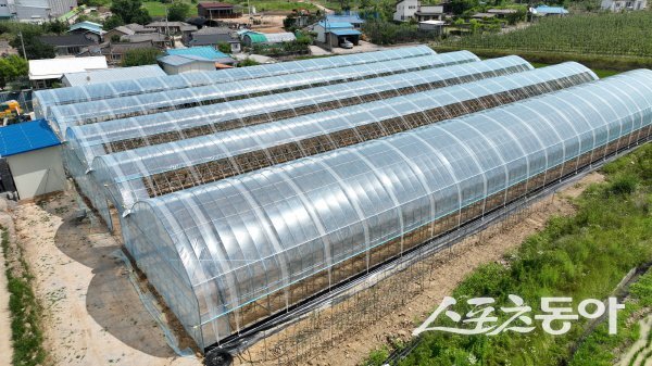 청송군이 야심차게 추진중인 ‘스마트과수원 특화단지’ . 사진제공 ㅣ 청송군