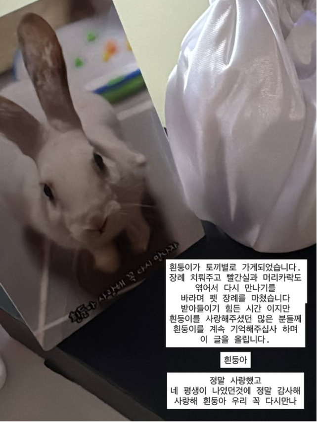 조현아 SNS 캡처