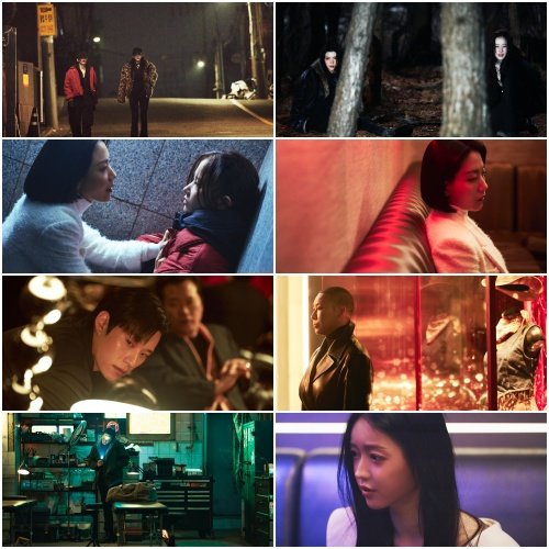 사진제공|플러스엠엔터테인먼트