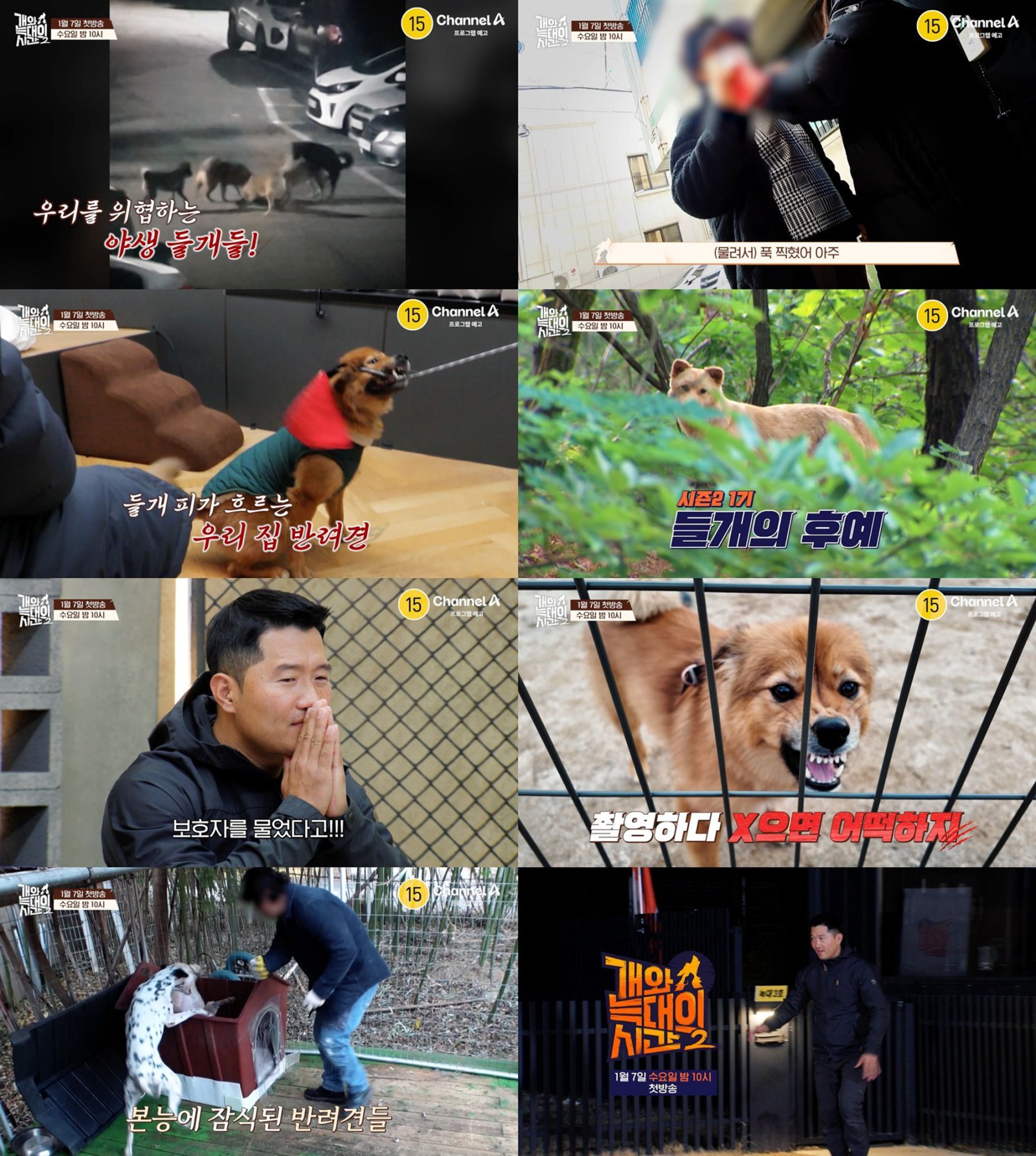 [ä��A] ������2_2�� Ƽ��_251220.jpg