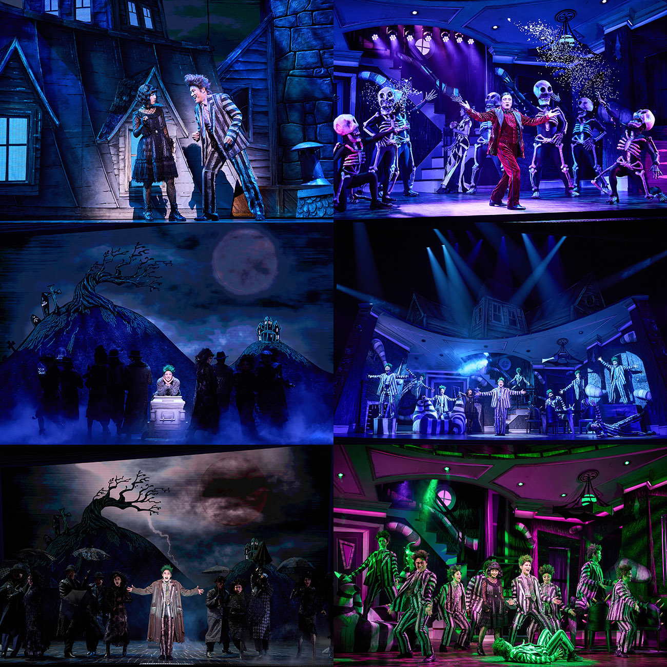 사진제공｜CJ ENM