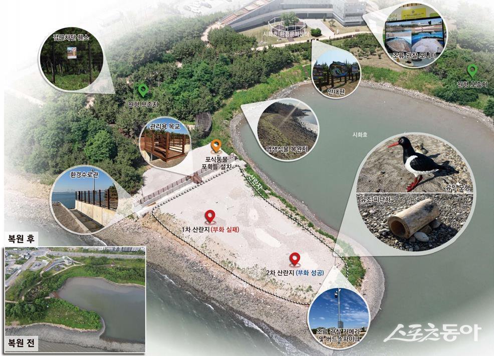 철새도래지 서식처. 사진제공｜시흥시