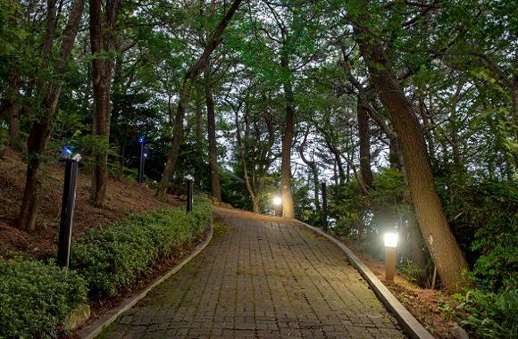 달맞이 언덕 문탠로드                 사진출처=부산관광공사 홈페이지