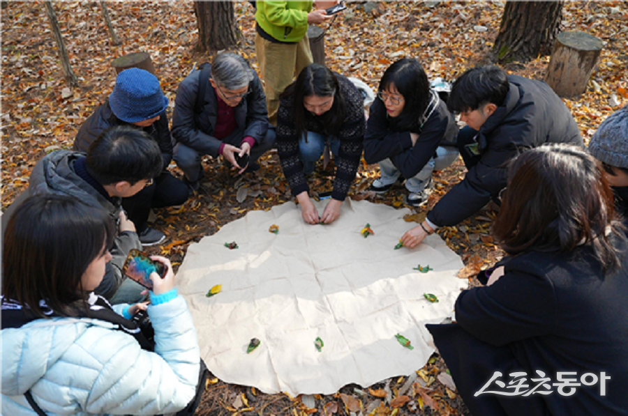 강원관광재단(대표이사 최성현)이 올 한 해 태백·삼척·영월·정선 등 폐광지역 4개 시군을 여행으로 잇는 관광루트 ‘감탄로드’ 특화상품 운영을 통해 약 7억 5천만 원의 직접적인 지역 소비 효과를 거둔 것으로 나타났다(사업 운영 참가자들 모습). 사진제공|강원관광재단