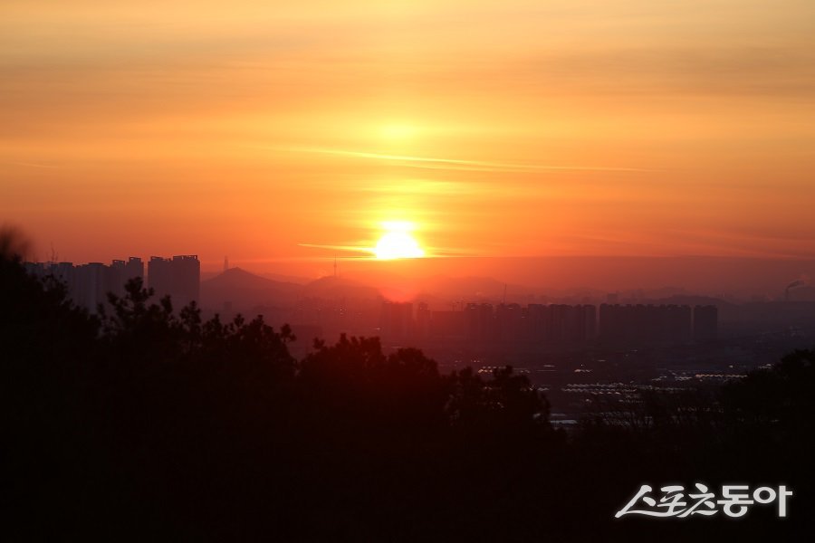 김포시, 2026 봉성산 해맞이 행사를 개최했다. 사진제공|김포시청