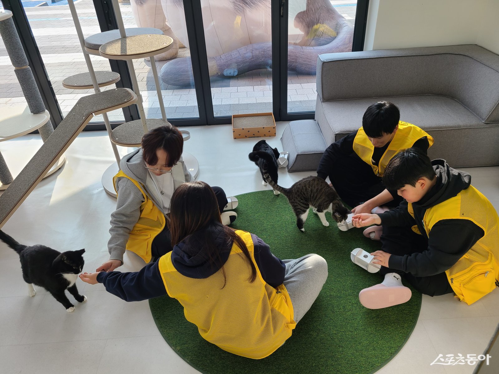 청소년 봉사활동 모습. 사진제공ㅣ경기도북부청