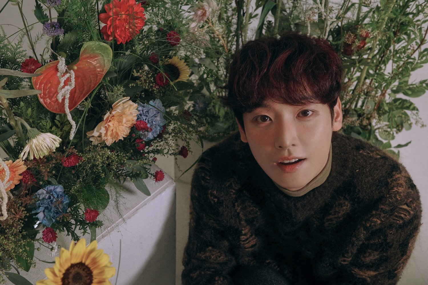 FNC_SF9 �μ�(1).jpg