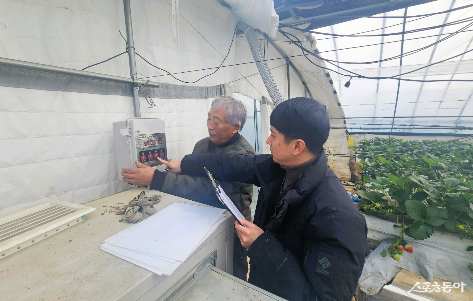 장성군이 오는 2월 말까지 시설원예 농가를 대상으로 현장 기술지원을 펼친다고 7일 밝혔다. 사진제공=장성군